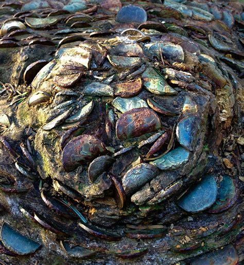 Martin braithwaite was born on the 5th day of june 1991 to his mother, heidi braithwaite and father, keith braithwaite in esbjerg, denmark. Money Tree 2 | Keith Braithwaite | Flickr