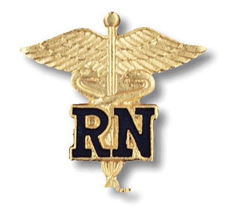 Nurses Rn Registered Nurse Emblem Pin 3 Styles Ebay