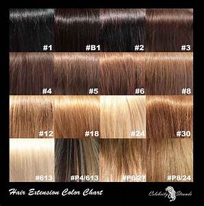Wella Light Brown Hair Color Chart Bmp Noodle