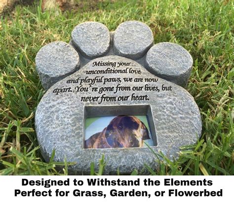 Paw Print Pet Memorial Stone Second Image Caring For A Senior Dog