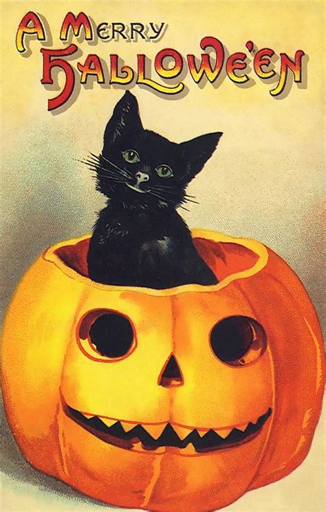 Halloween Black Cat Painting By Vintage Art Fine Art America