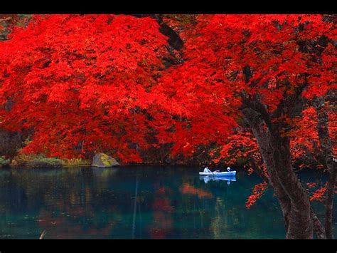 Goshikinuma 五色沼 美しい風景 絶景 美しい風景写真