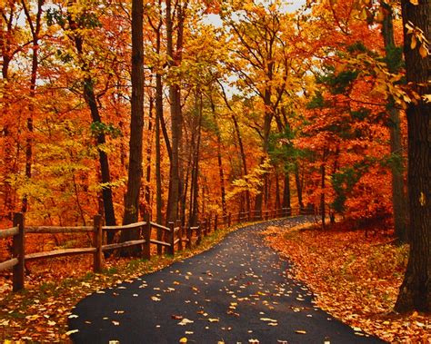 Wonderful Autumn Road Wallpapers