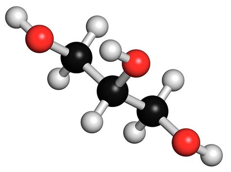 Glycerol Molecule