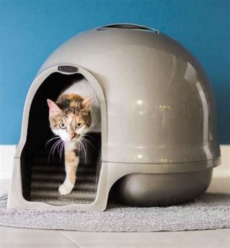The 8 Best Dog Proof Litter Boxes
