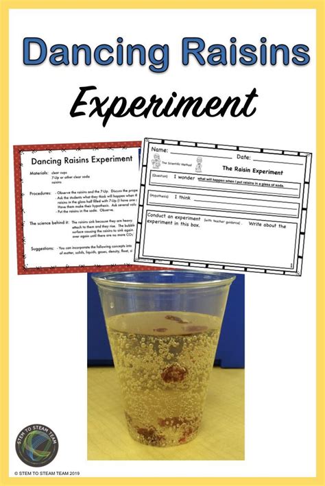 Dancing Raisins Science Experiment Worksheet