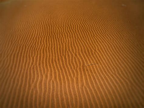 Desert Sand · Free Stock Photo