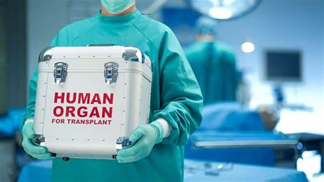 Organ Transplantation How Much Does It Cost And Where Can You Go For A Transplant Medtour