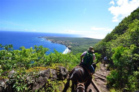 Hawaii Anybody Up For A Mule Ride Down To Kalaupapa Peninsula On