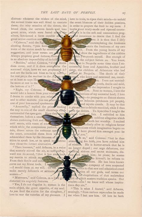 Dictionary Art Vintage Insect Bees Print Vintage Art Book Page Print