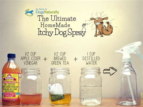 Homemade Flea Spray For Dogs Using Apple Cider Vinegar Apple Poster
