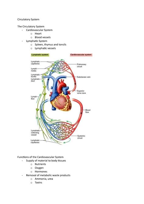 Functions Of The Circulatory System Oben Science 7e