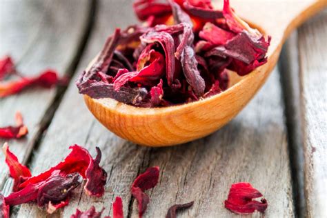 10 beneficios que la flor de Jamaica brinda a tu organismo | Grupo Rivas