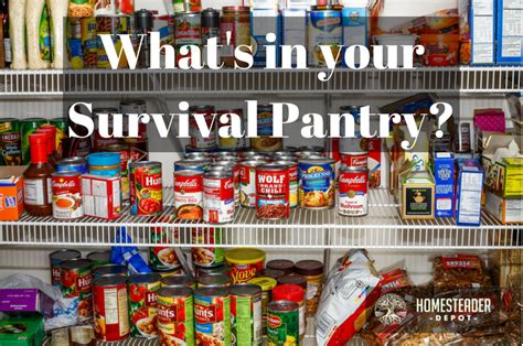 Discover millions of stock images, photos, video and audio. Top 5 Canned Items to Stock - Survival Stronghold