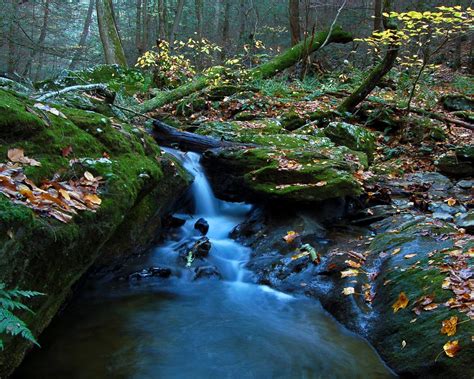 Forest Waterfall Landscape Autumn 2560x1600