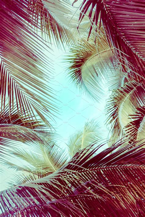 Tropical Vibes Background | Tropical vibes, Tropical background, Tropical