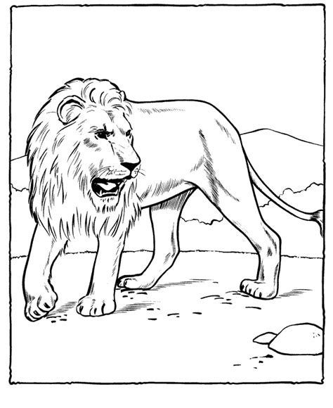 printable pictures of lions coloring home