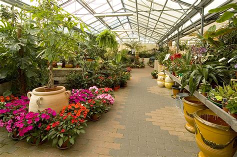 Jardinerie pépinière à Saumur | Entreprise Berjamin et Fils