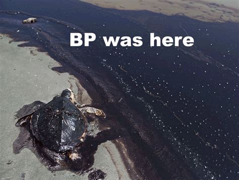 Play all of the best golf courses in cabo, cancun, puerto vallarta, mazatlan and acapulco. Ölpest im Golf von Mexiko: Höchste Strafe aller Zeiten für ...