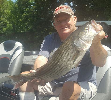 Bass fishing club based out of smith mountain lake, va. Smith Mountain Lake Fishing Report Sept 2019 by Captain ...