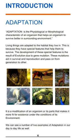 Biology Investigatory Project On Adaptation In Animals And Plants Pdf