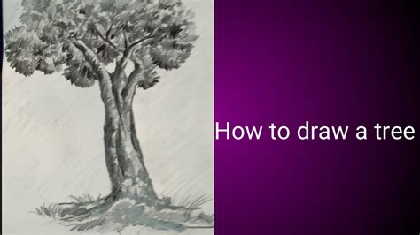How To Draw A Tree Youtube