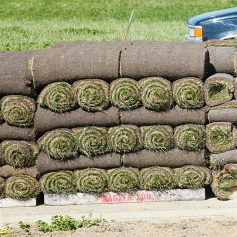 Learn how to lay sod for a perfect lawn with this how to video. Everything to Know Before Laying Sod & How to Lay Sod ...