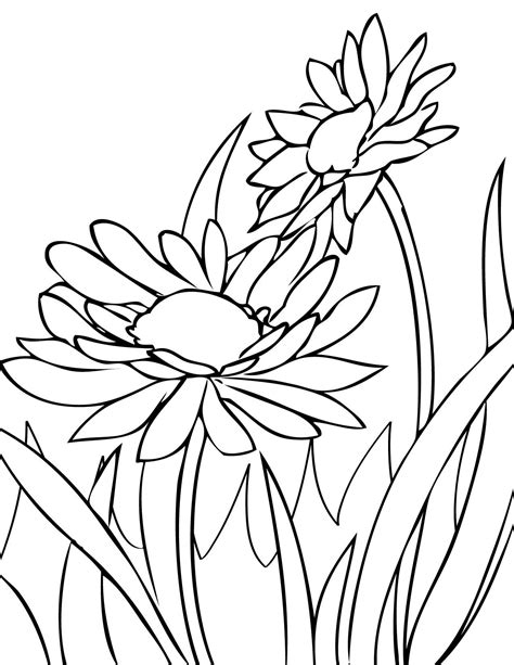 By best coloring pagesmarch 23rd 2017. Daisies Coloring Page - Handipoints | Flower coloring ...