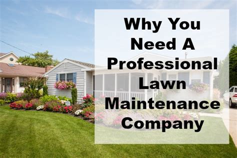 Why Hire A Professional Lawn Maintenance Company — Barbers Fresh