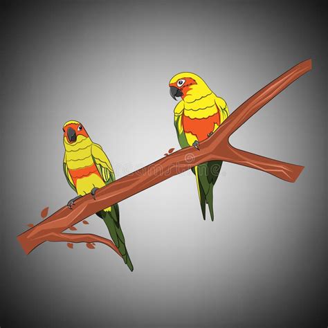 Graphics Drawing Sun Conure Parrots On A Branch Of The Tree Vector