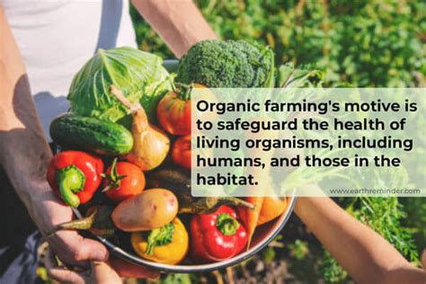 Organic Farming Methods And Types Earth Reminder