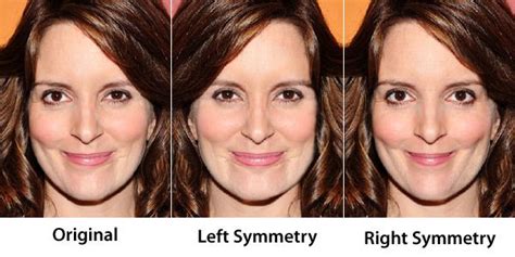 Face Symmetry Of Celebrities Face Symmetry Face Study Celebrity Faces