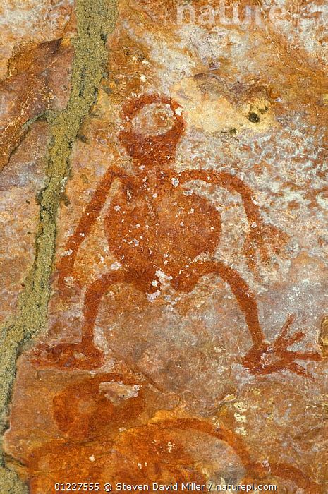 Stock Photo Of Ancient Wandjina Figures And Bradshaw Rock Art Northern