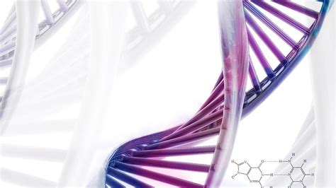 Screenheaven Dna Close Up Violet Chromosome Cell And Mobile Hd