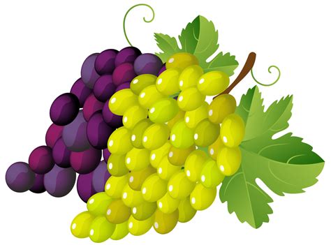 Grape Vine Corner Clip Art Clip Art Library