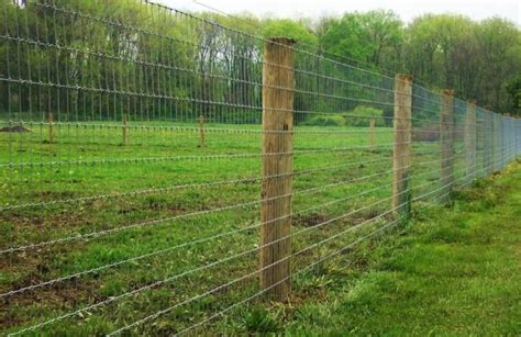 Young kids often can wiggle through this type of fencing as well. nigerian modern fence design concept