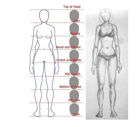 Drawing The Female Figure · How To Make A Drawing · Drawing On Cut Out Keep