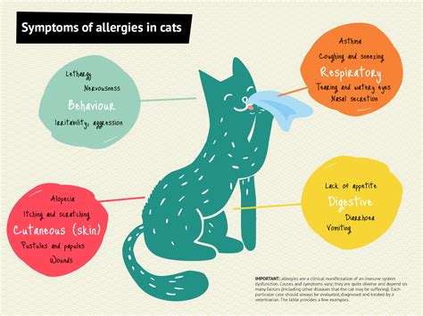 Pin By Linda Sabo On Cat Facts And Fun Cat Allergies Cat Asthma Cat