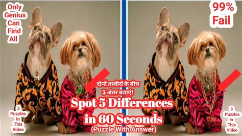 Spot The Differences Spot 5 Differences In 60 Second 99 Fail Puzzle