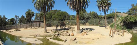 Oakland Zoo Panoramas
