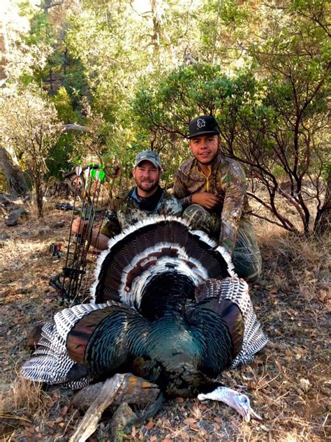 Goulds Turkeys Goulds Turkey Hunts Turkey Hunts In Mexico