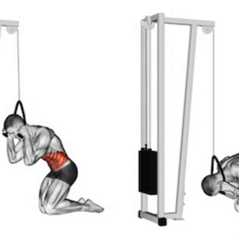 Kneeling Cable Crunch Exercise How To Workout Trainer By Skimble