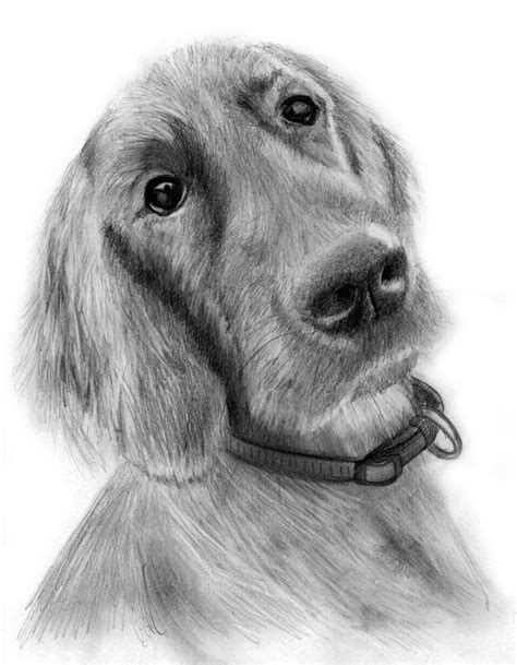 Cute Puppy Drawing In Pencil