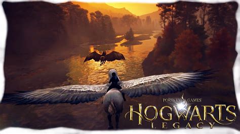 Hogwarts Legacy Unlocking The Hippogriff Gameplay Walkthrough Part