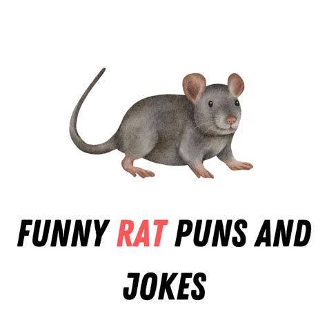 Funny Rat Puns And Jokes
