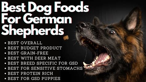 Best Dog Foods For German Shepherds Youtube