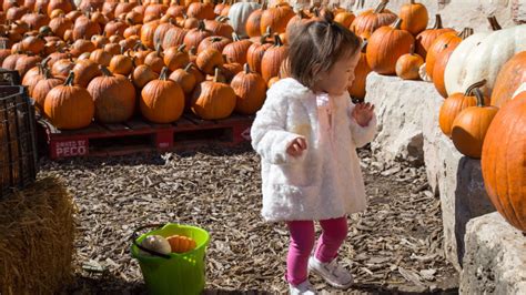 Best Halloween Events For Kids And Families In Chicago Mommy Nearest