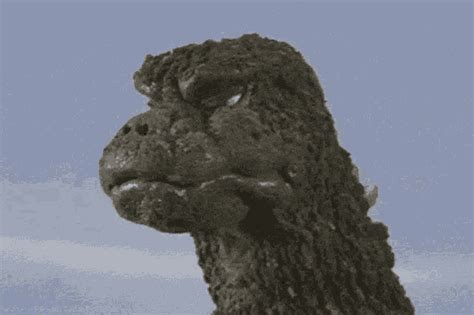 Confused Godzilla GIF Confused Godzilla Discover Share GIFs