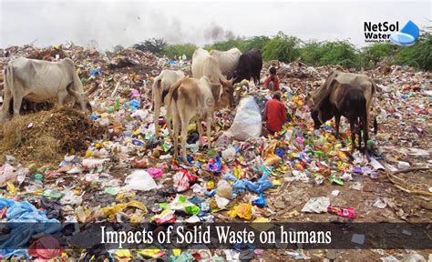 What Are The Impacts Of Solid Waste On Humans