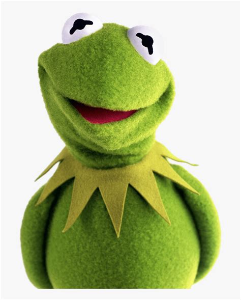 15 Kermit The Frog Face Png Woolseygirls Meme